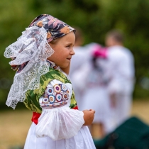 Slávnosti bratstva Čechov a Slovákov